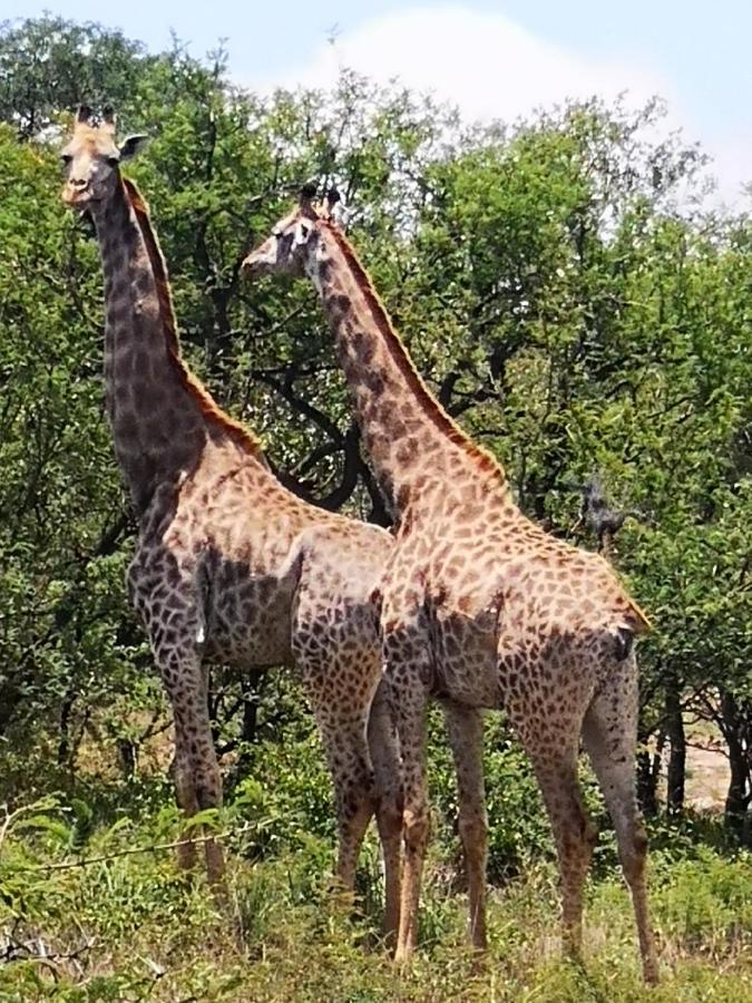 Boulders Safari Lodge Malalane Buitenkant foto